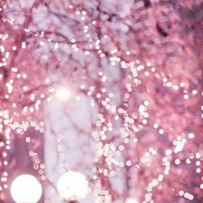 大发彩票www官方网址版